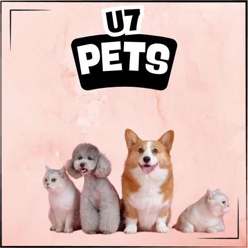 U7 Pets