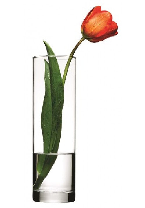 Clear Glass Flower Vase 265mm 43767 A (Parcel Rate)