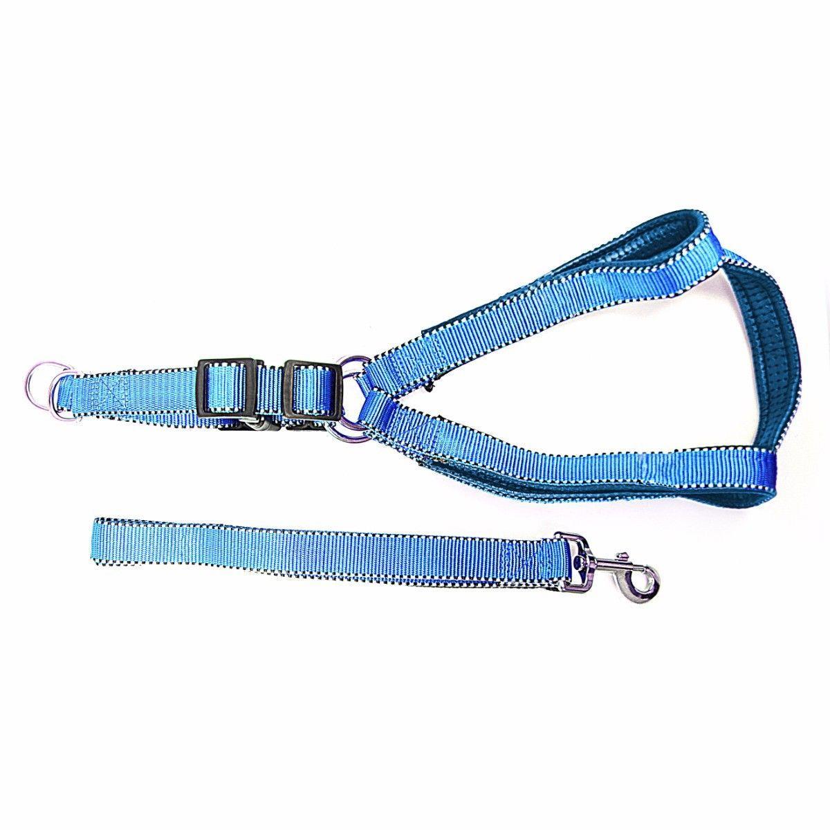 Nylon Bright Lightweight & Reflective Dog Leash With Extra Strong Harness Pet 4617 (Large Letter Rate)